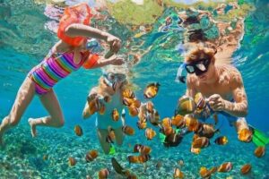 Similan island day trip by speedboat. Price adult 2,700 baht per person Children 4-11 year price 2,500 baht